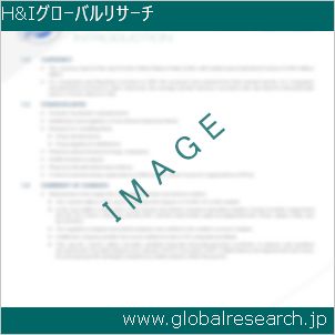 グローバルリサーチ調査レポートのイメージ